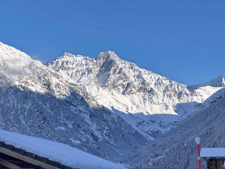 Description alternative par défaut